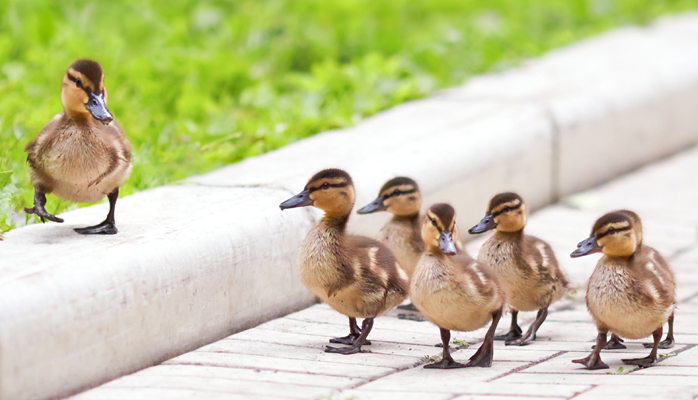 How Servant Leadership Improves Employee Engagement