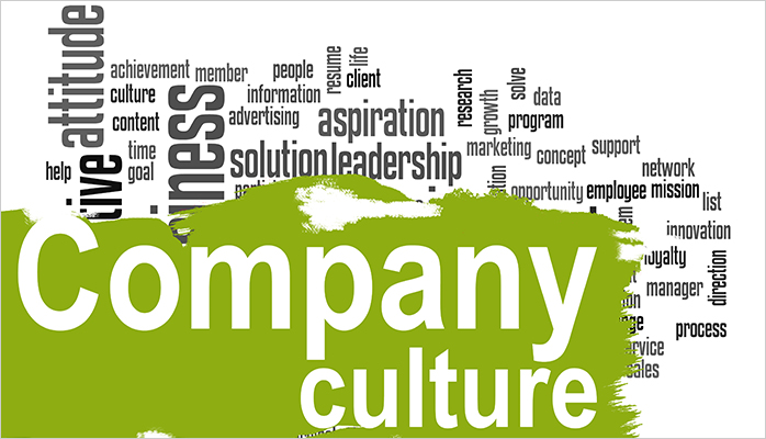 3 Reasons Why Company Culture Is so Important