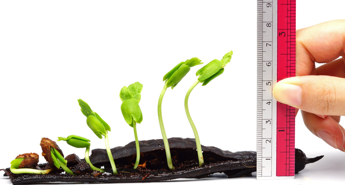 Is Jamaica Capable of Handling the Outsourcing Needs of Growing Companies?