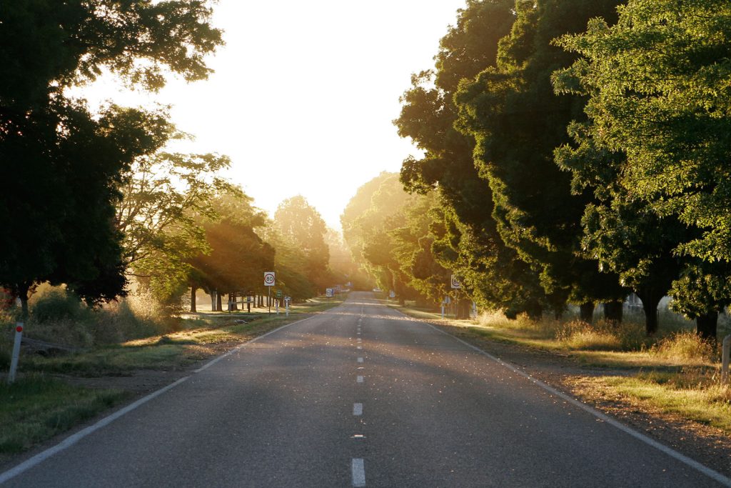 Training: Where Are You Going?