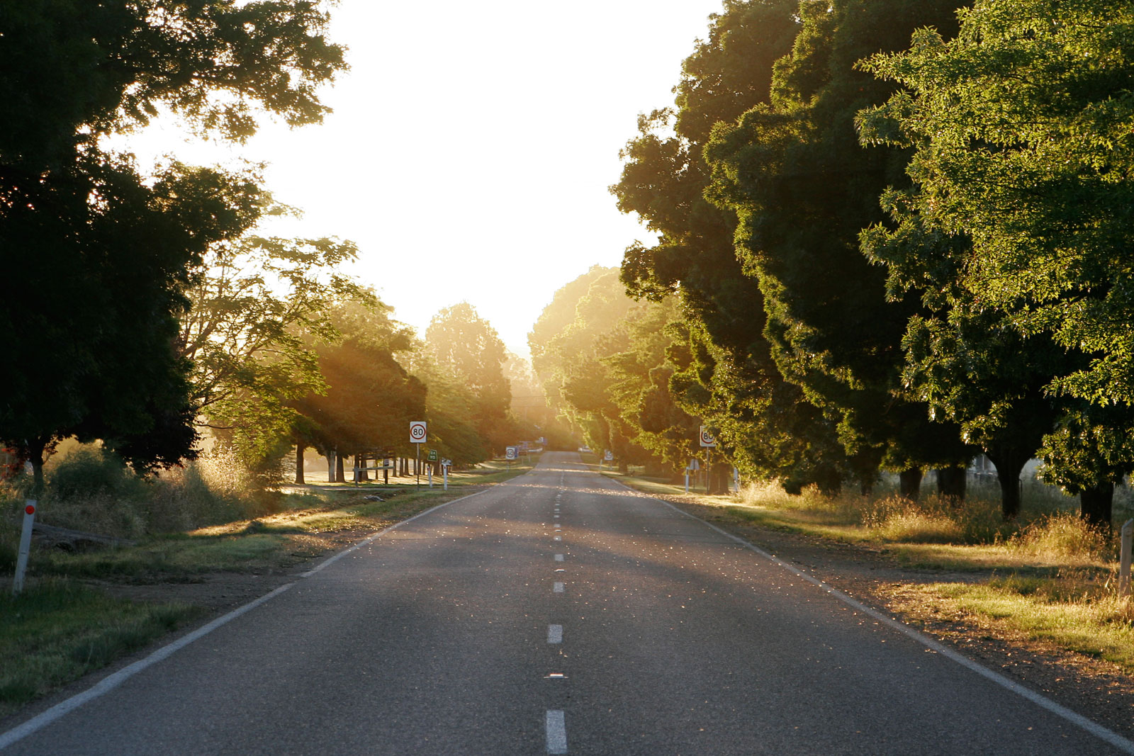 Training: Where Are You Going?